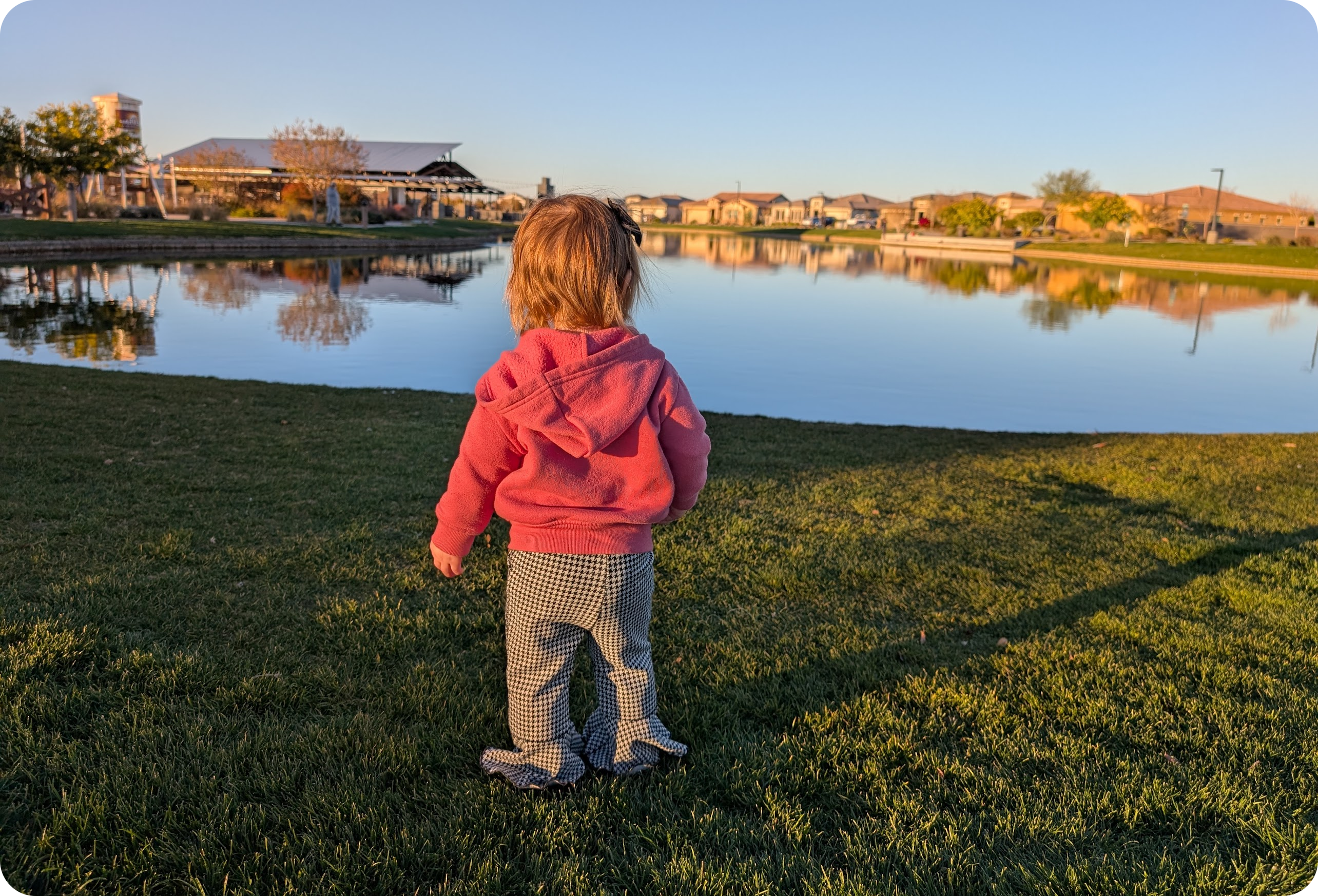 Christian Taillon's motivation